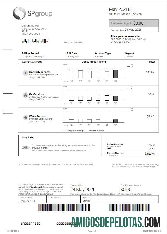imprimível Modelo Word e PDF para conta de serviços públicos do GRUPO SINGAPURA SP